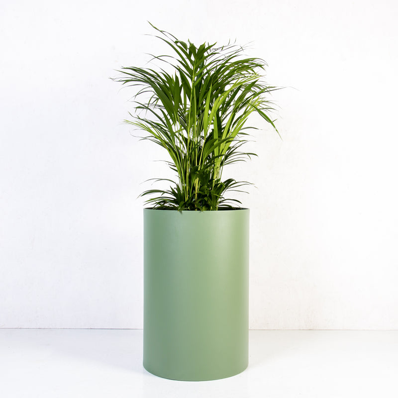 indoor plant pots south africa Custom