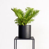 Plantr Planters Cape Town Custom Office Pot Plants Steel Boss 