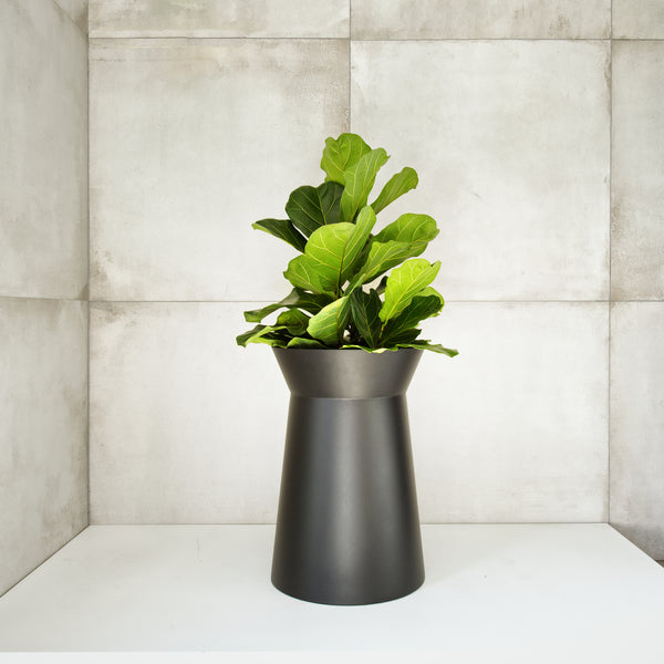 Plantr | Conva Planter - hourglass black steel pot plant | Interior, Outdoor, or custom pround plant pot. Contemporary, modern planters  Edit alt text