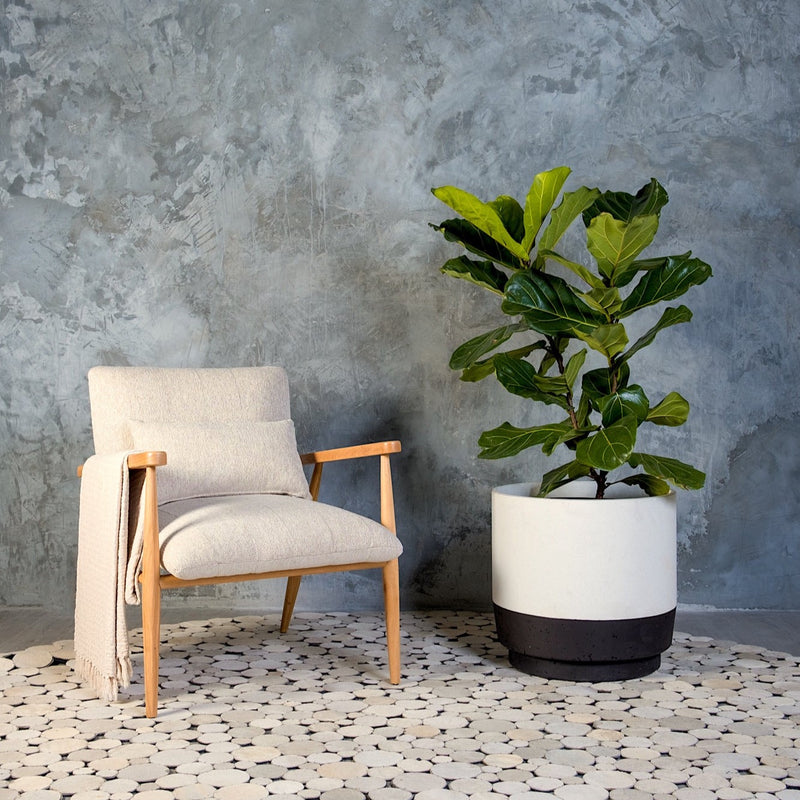 Plantr | Onyx Concret pot plant. Fibre clay indoor outdoor concrete planter black & white