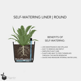 Self-Watering Liners | Round