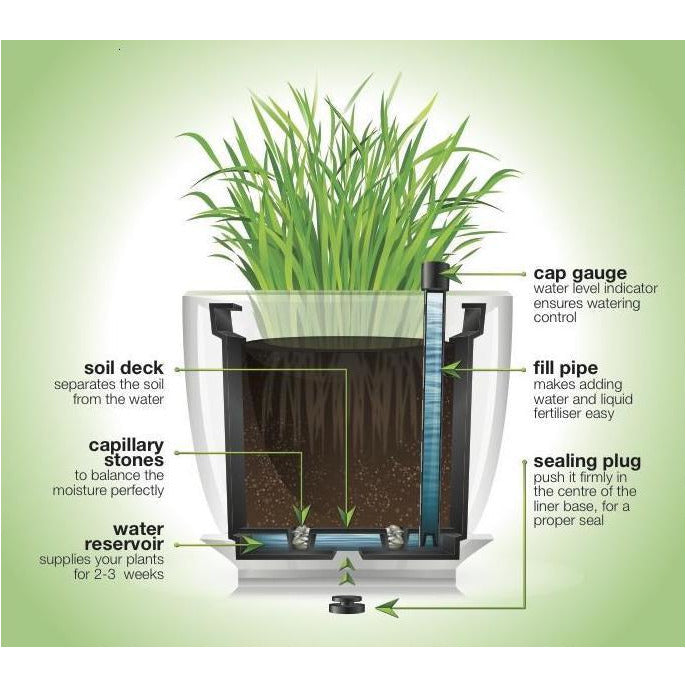 Plantr | Self Watering Liner | Planters | Office Pot Plant | Corporate | Maintenance