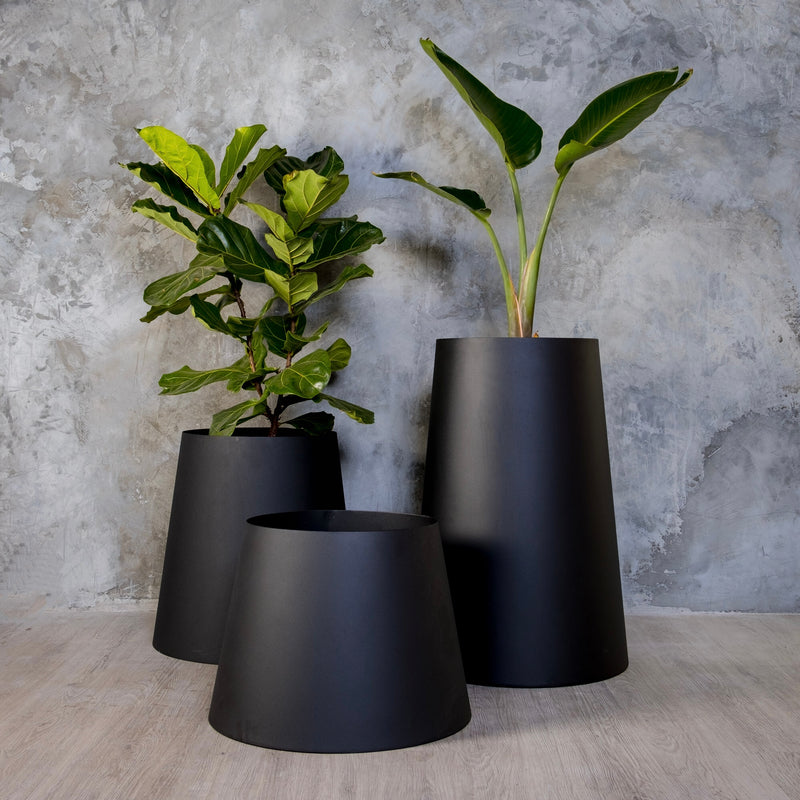 The Conica | Basic