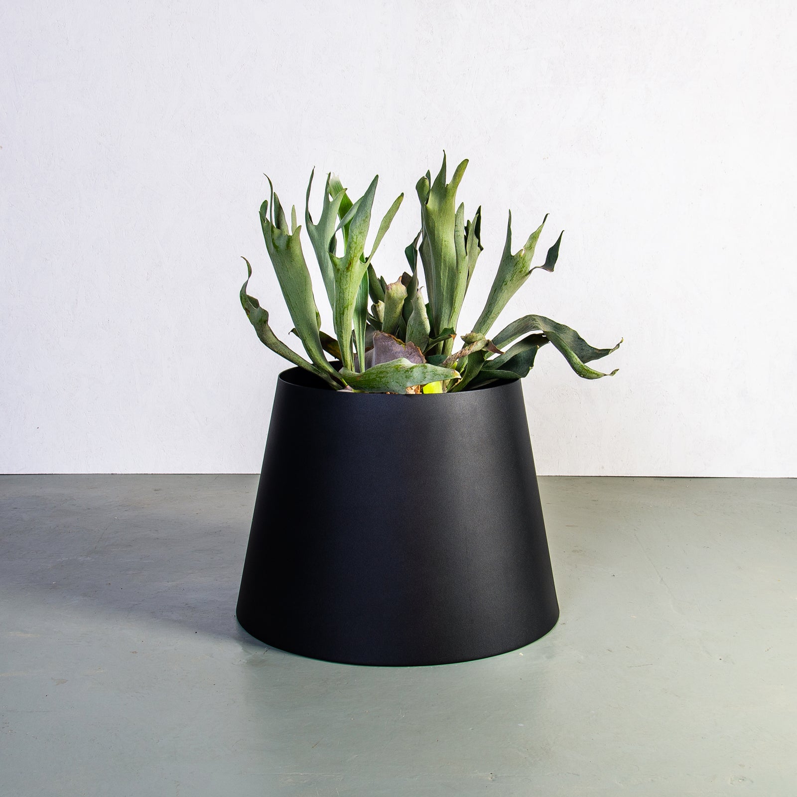 Plantr | The Conica | Architectural Planters | Designer Pot Plants