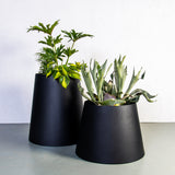 The Conica | Basic
