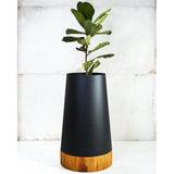Plantr Conica Planters Custom Office plants corporate Pot Plants Steel wood Weylandts