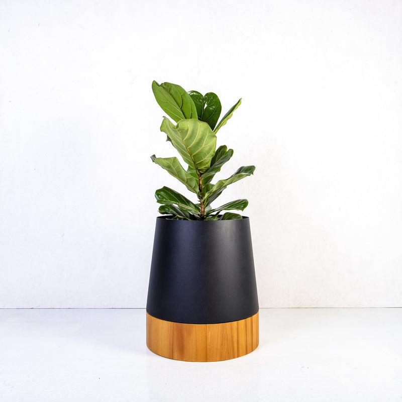 Plantr Conica Planters Custom Office plants corporate Pot Plants Steel wood Weylandts