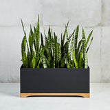 Corten Steel Cape Town South Africa. Custom Planter stainless Steel and wood. Corten Steel planter and steel structures