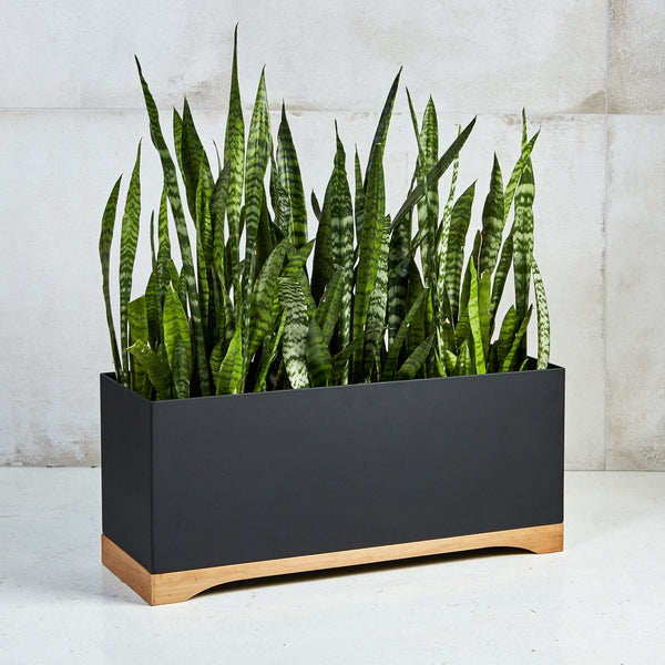 Wood planter. Corten Steel Cape Town South Africa. Custom Planter stainless Steel and wood. Corten Steel planter and steel structures