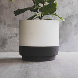 Plantr | Onyx Concret pot plant. Fibre clay indoor outdoor concrete planter black & white