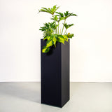 plantr pot plants Cape Town. custom loft Alta tall planter box office and corporate rentals
