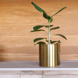 Plantr | luxury planters | Steel design | Contemporary plants & pots | Cape Town  Edit alt text Minilux Gold Aurous